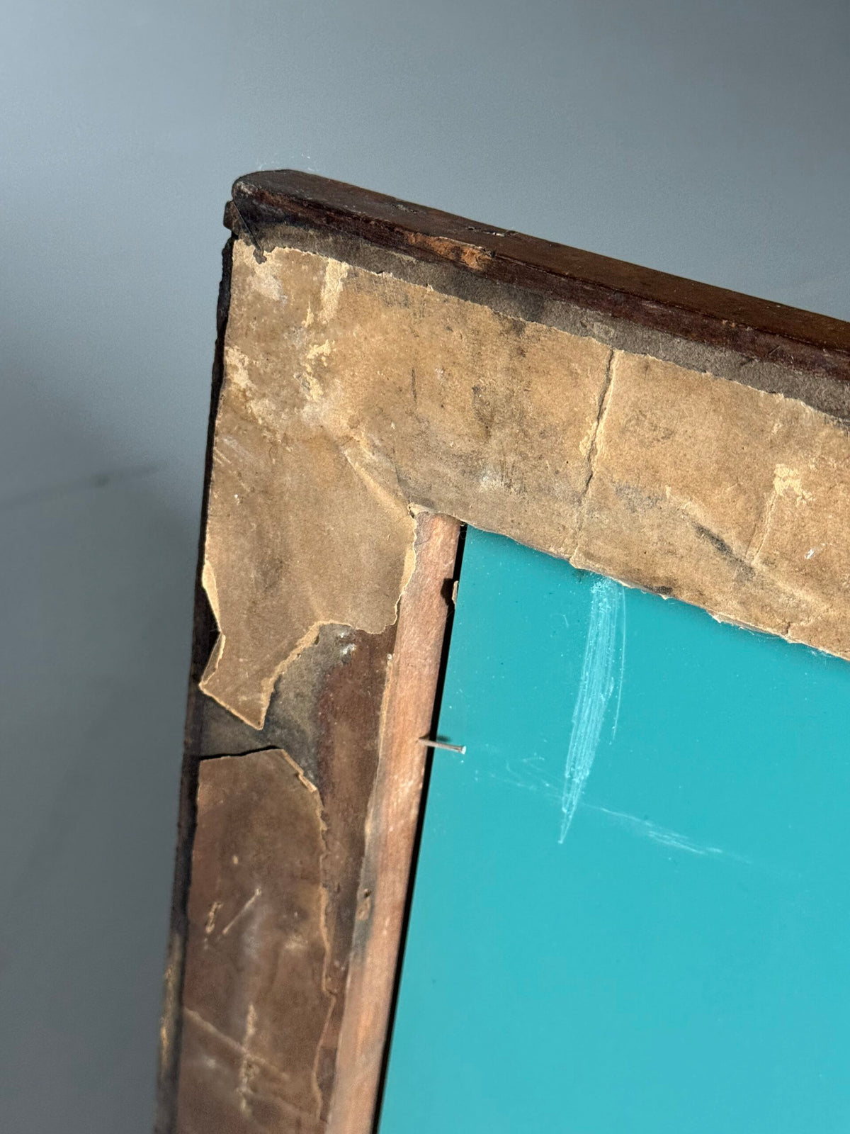 Pair of Burr Wood Veneer Mirrors, Early 1900s, photo 6