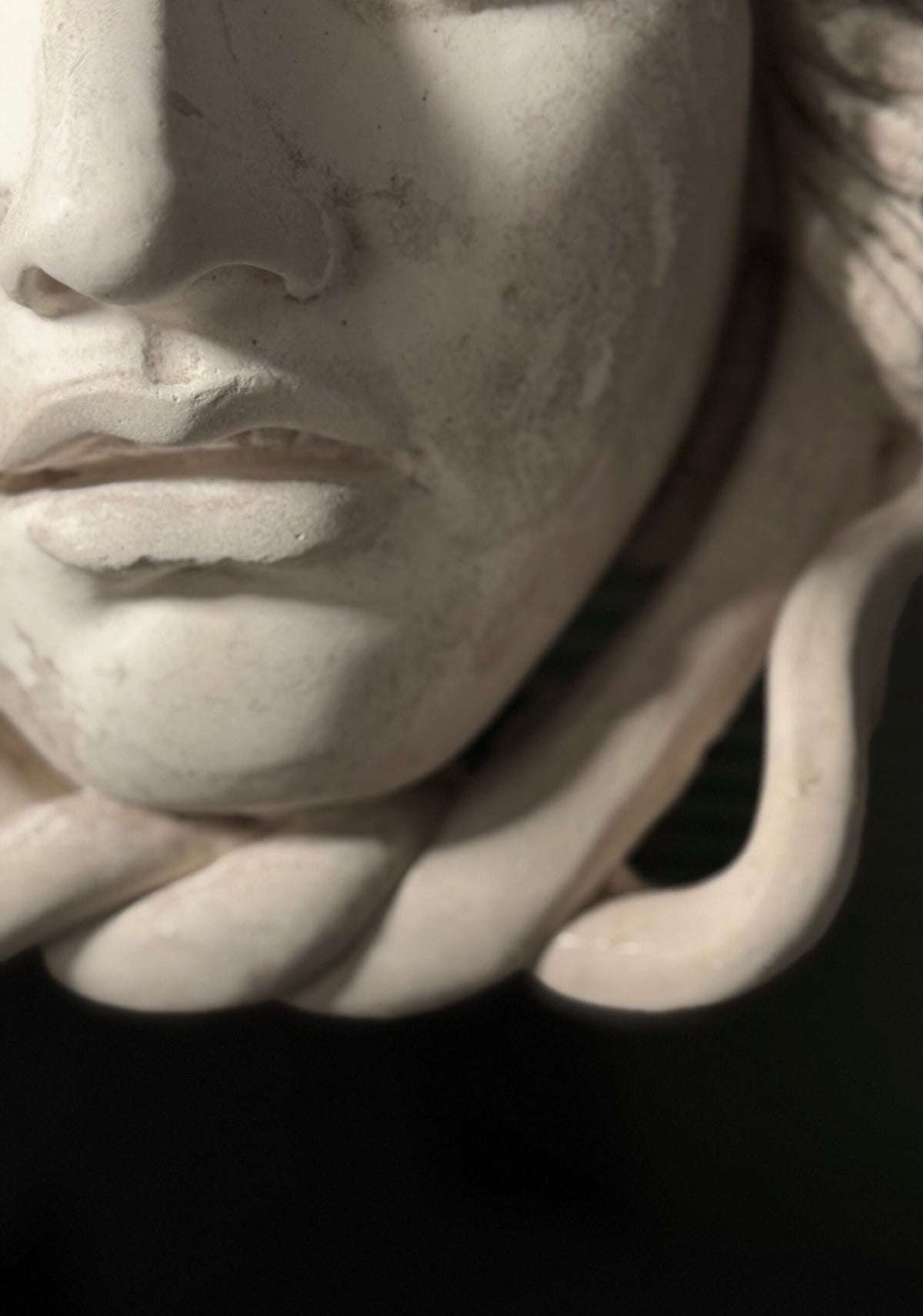 Plaster Medusa Wall Decoration, photo 6