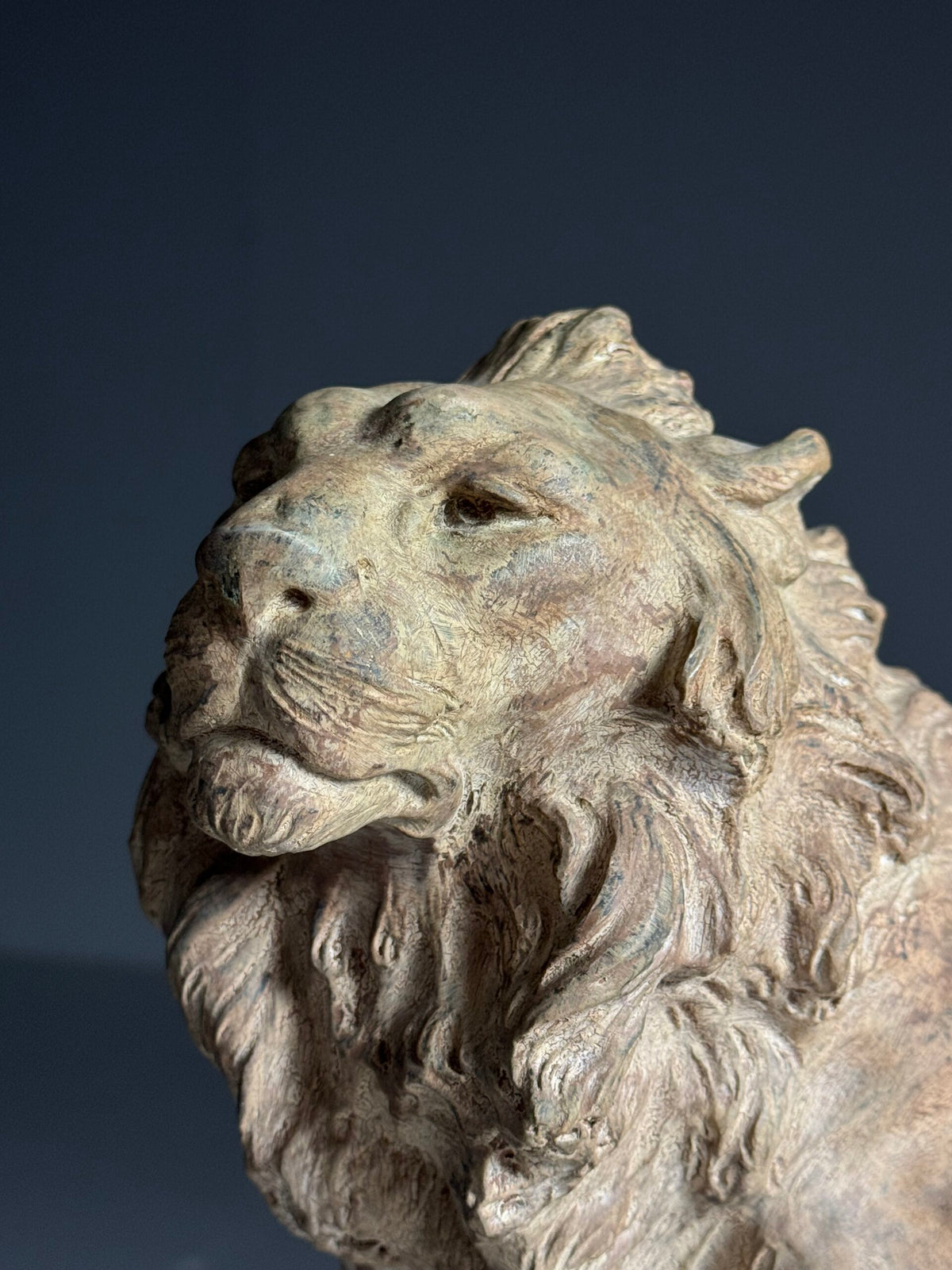 Terracotta Lion Sculpture by Armand Fagotto, photo 5