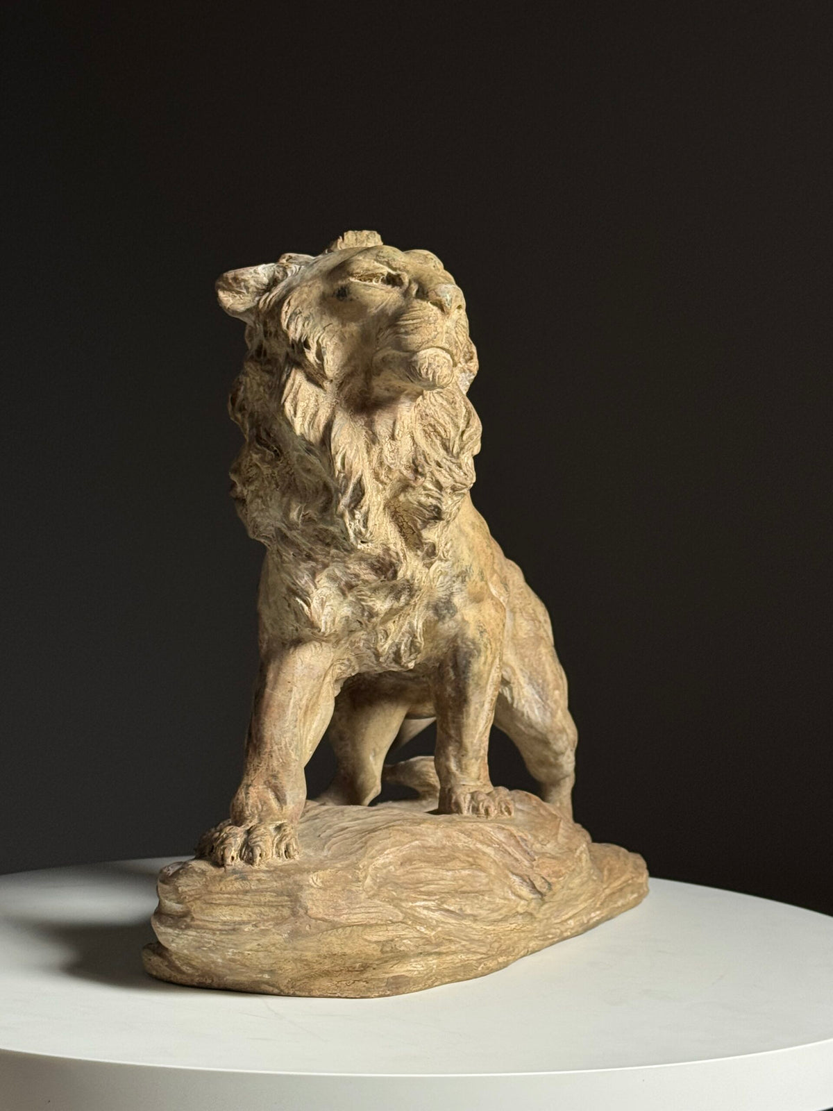Terracotta Lion Sculpture by Armand Fagotto, photo 19