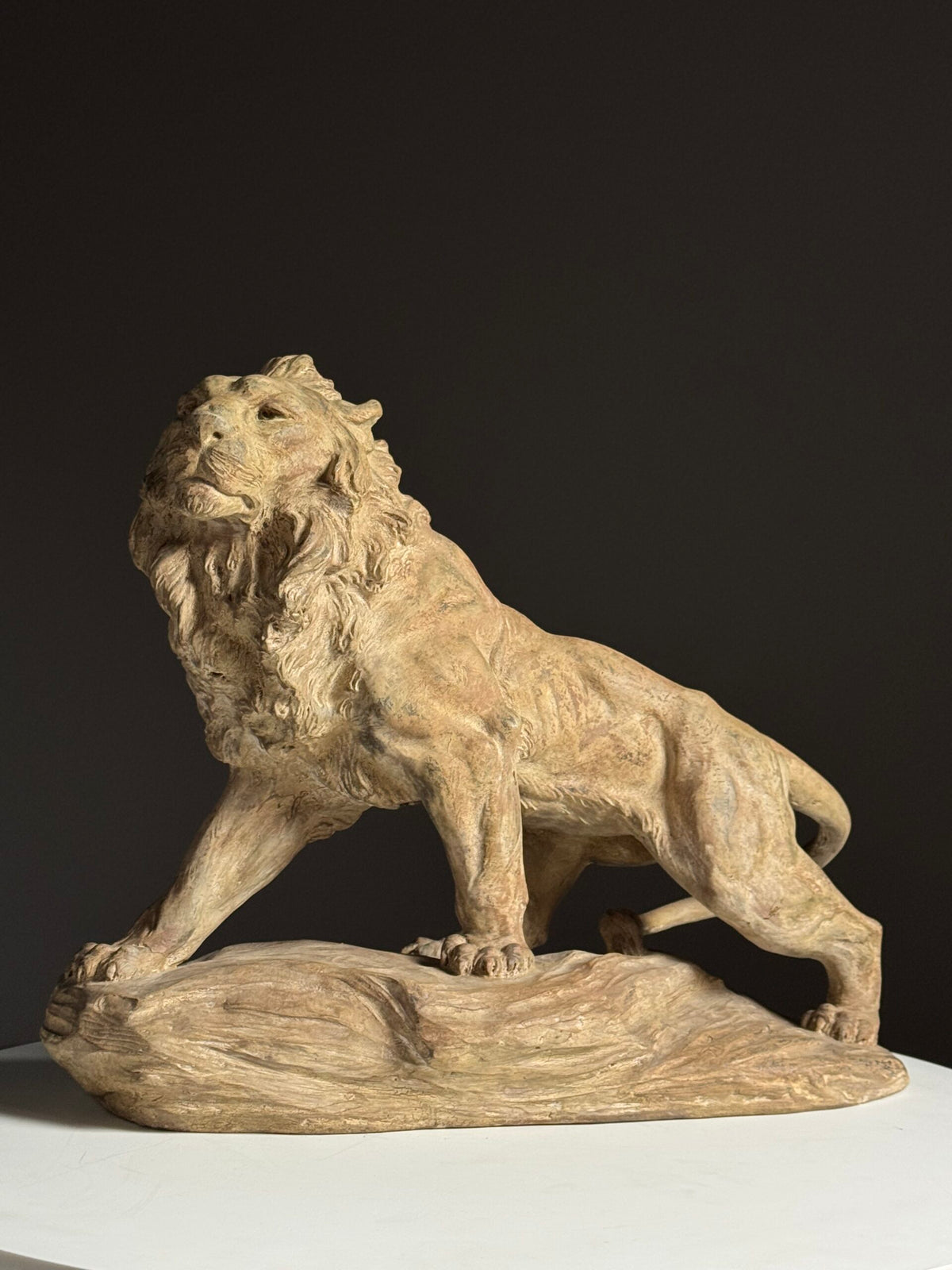Terracotta Lion Sculpture by Armand Fagotto, photo 21