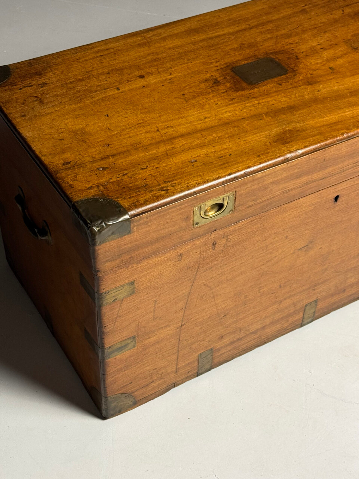 English Camphor Wood Campaign or Maritime Chest, 19th Century, photo 2
