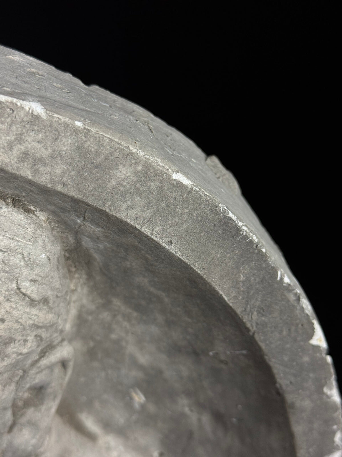 19th Century Plaster Portrait Medallion, photo 15