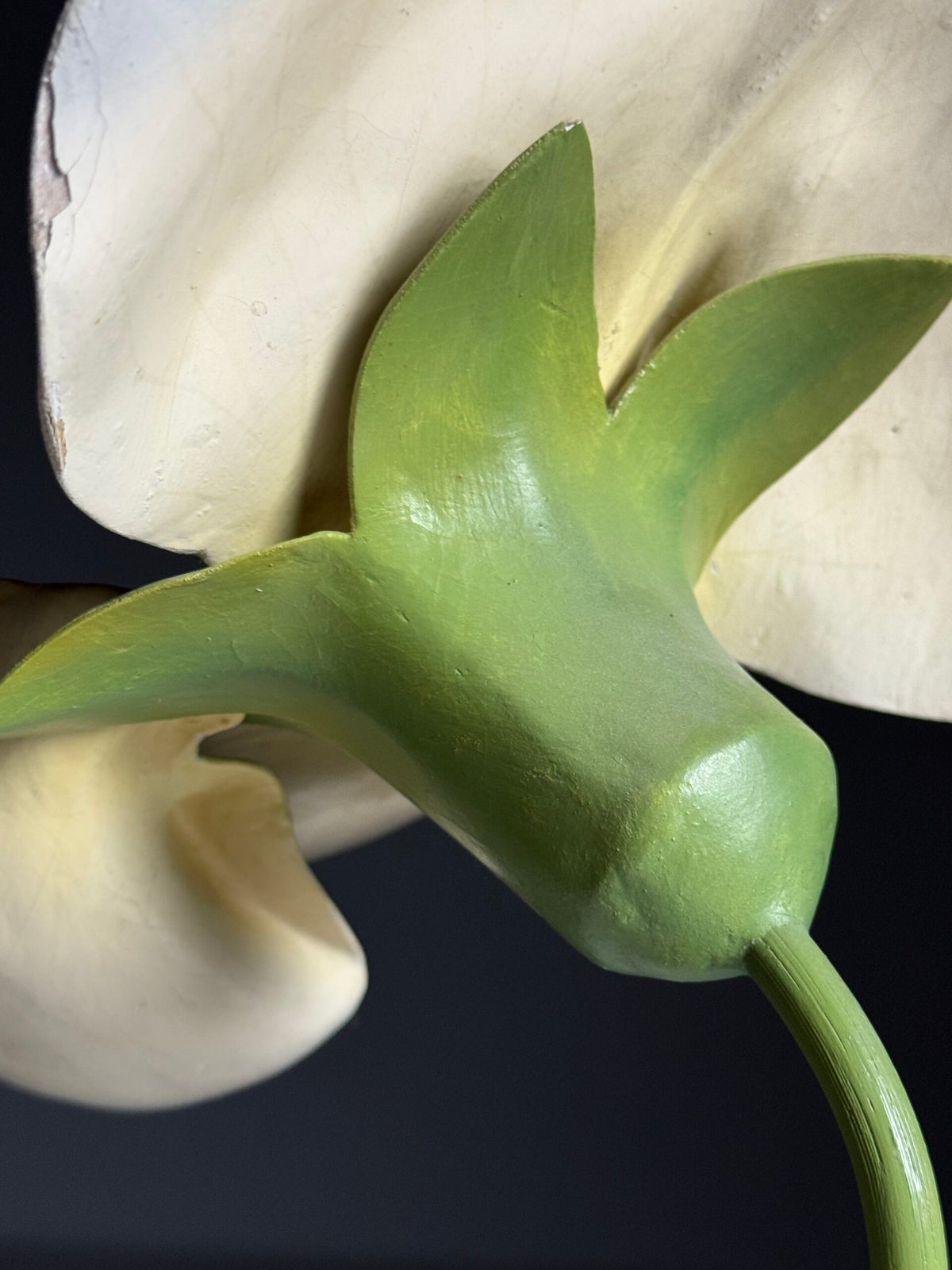 German Botanical Flower Model in Papier-mâché and Wax, c. 1900, photo 16