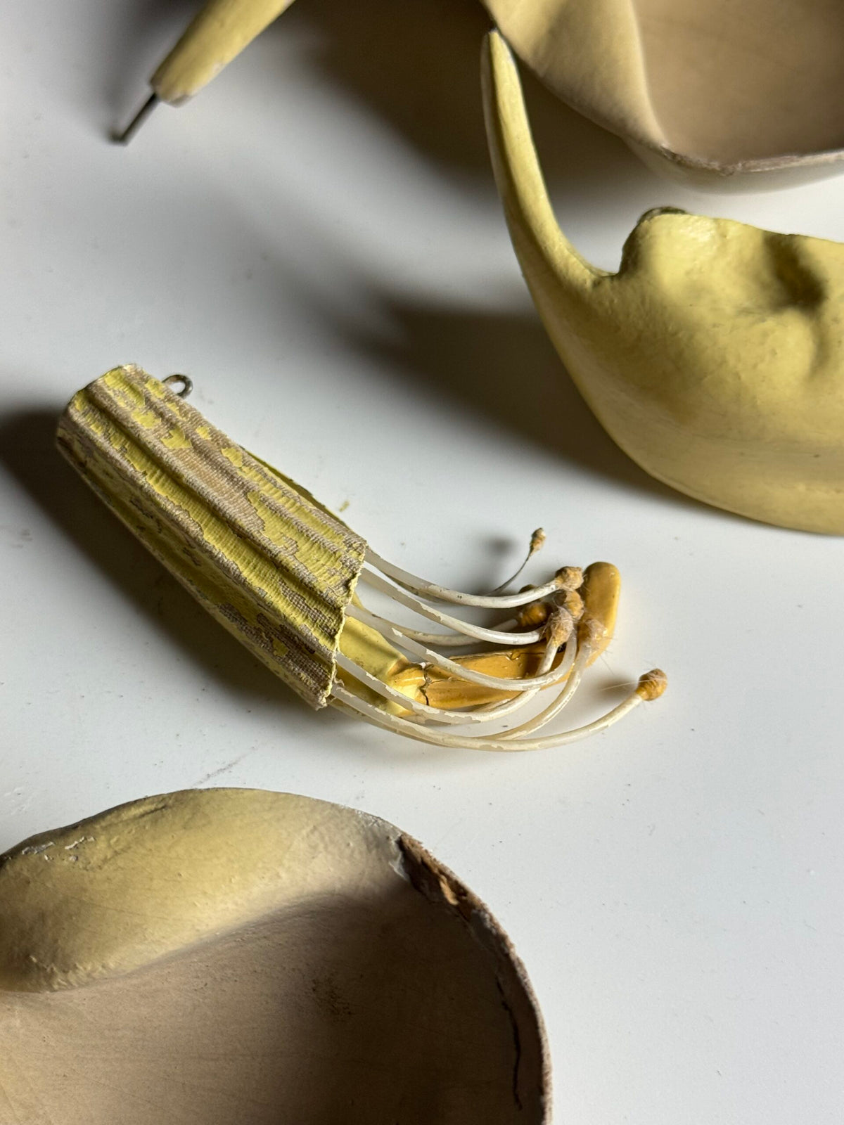 German Botanical Flower Model in Papier-mâché and Wax, c. 1900, photo 14