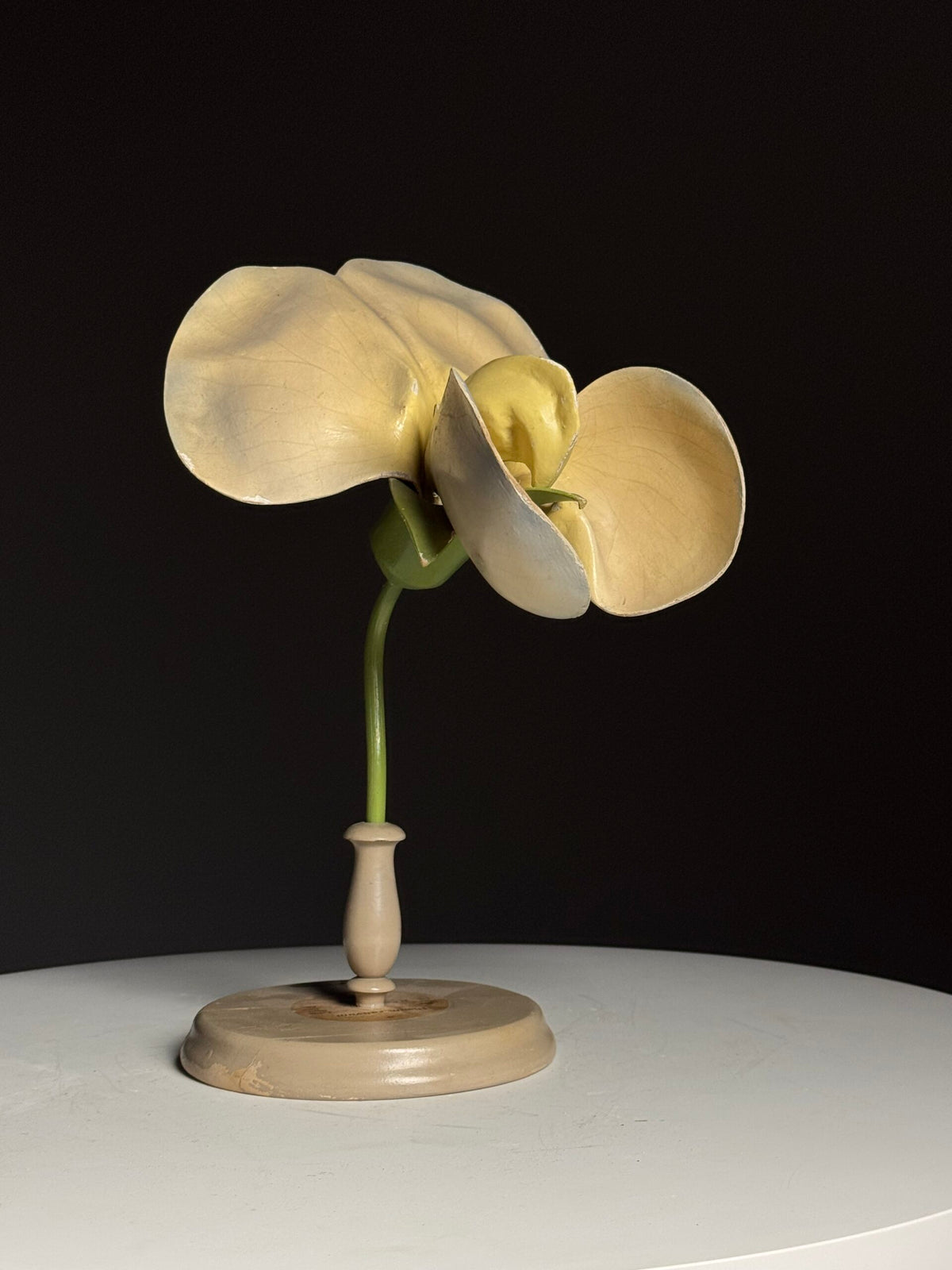 German Botanical Flower Model in Papier-mâché and Wax, c. 1900, photo 6