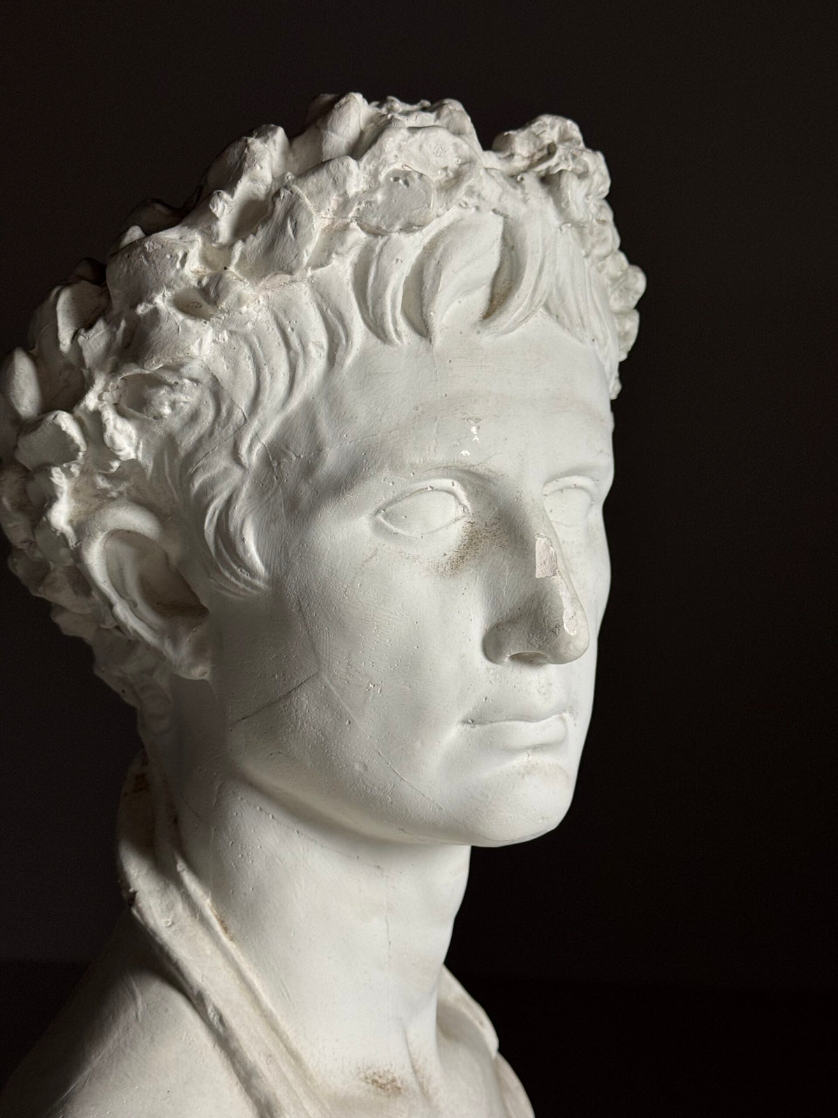 Plaster Bust of Emperor Augustus, Late 20th Century, photo 2