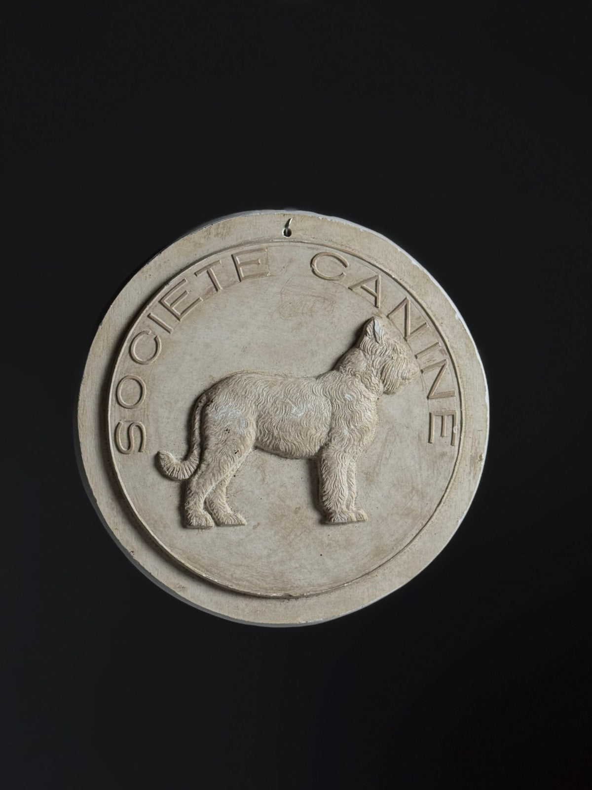 French Plaster Plaque "Societe Canine", photo 8