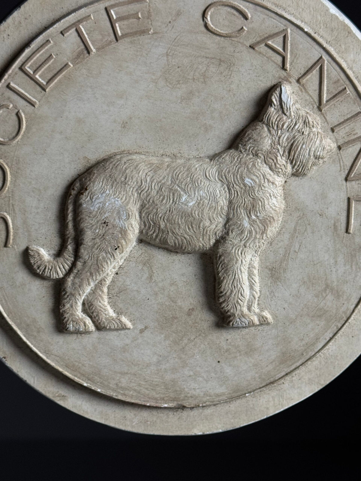 French Plaster Plaque "Societe Canine", photo 6