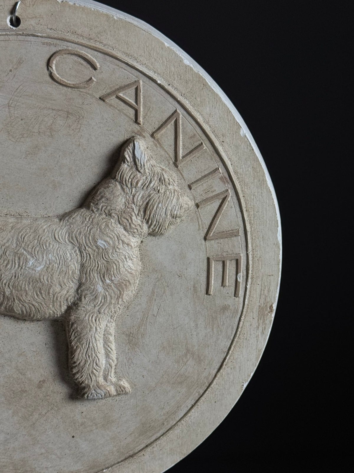 French Plaster Plaque "Societe Canine", photo 5