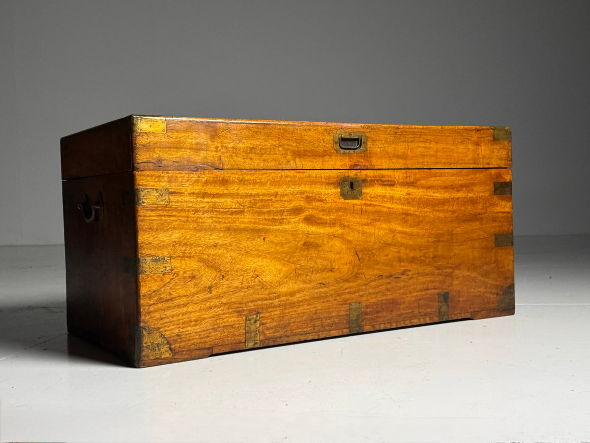 English Camphor Wood Campaign Chest, 19th Century, photo 1