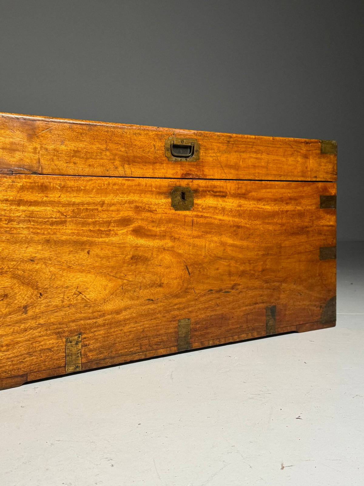English Camphor Wood Campaign Chest, 19th Century, photo 25