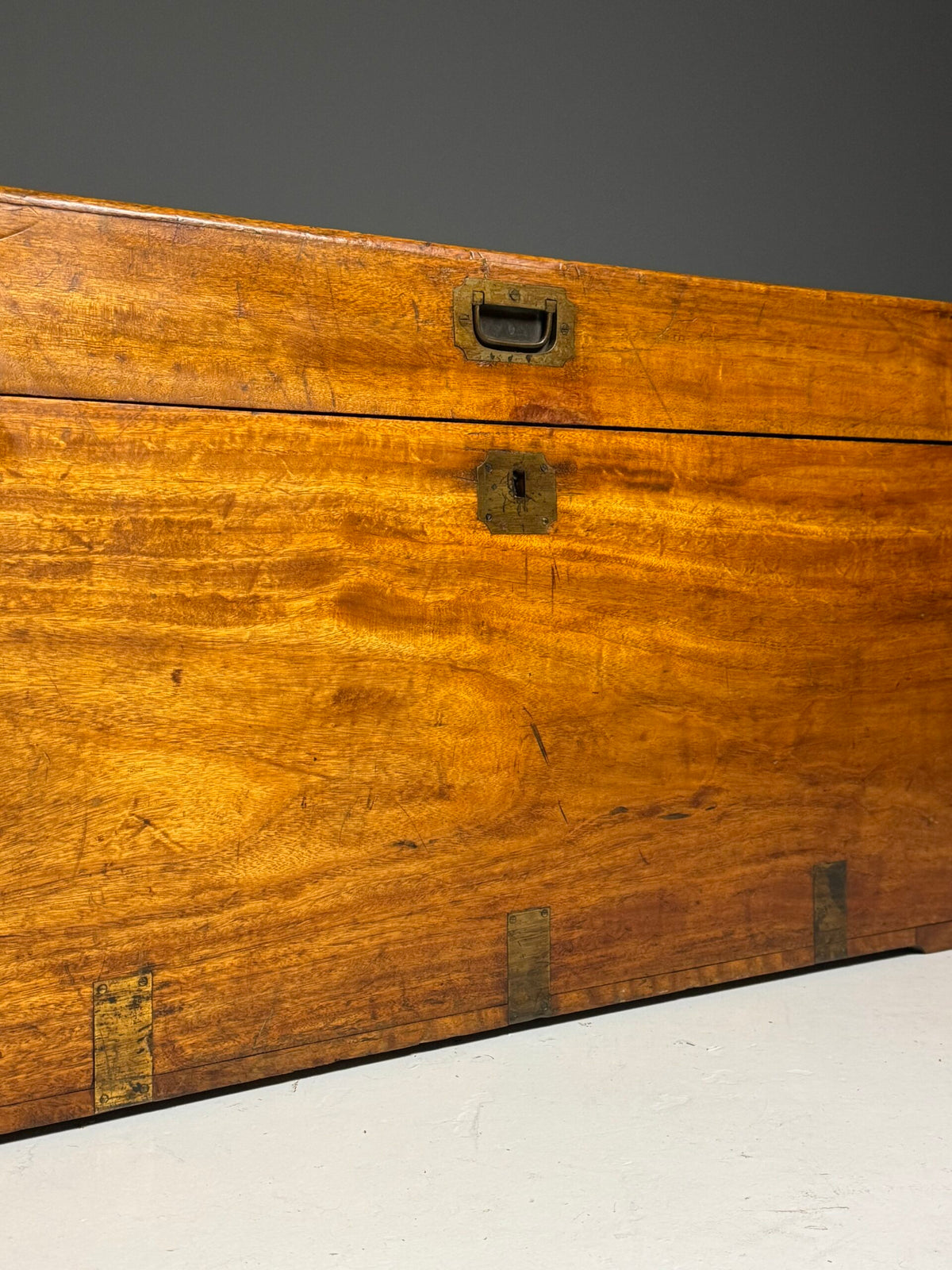 English Camphor Wood Campaign Chest, 19th Century, photo 24
