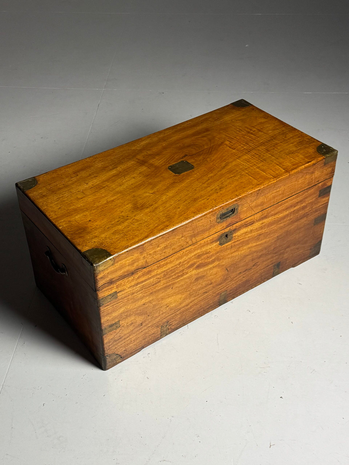 English Camphor Wood Campaign Chest, 19th Century, photo 22