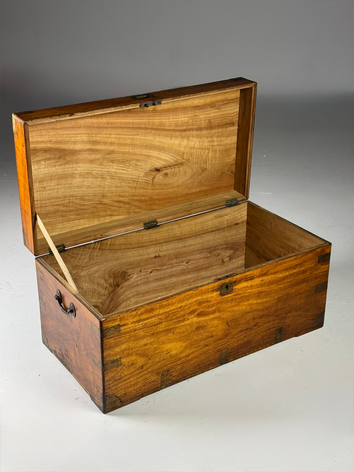 English Camphor Wood Campaign Chest, 19th Century, photo 18