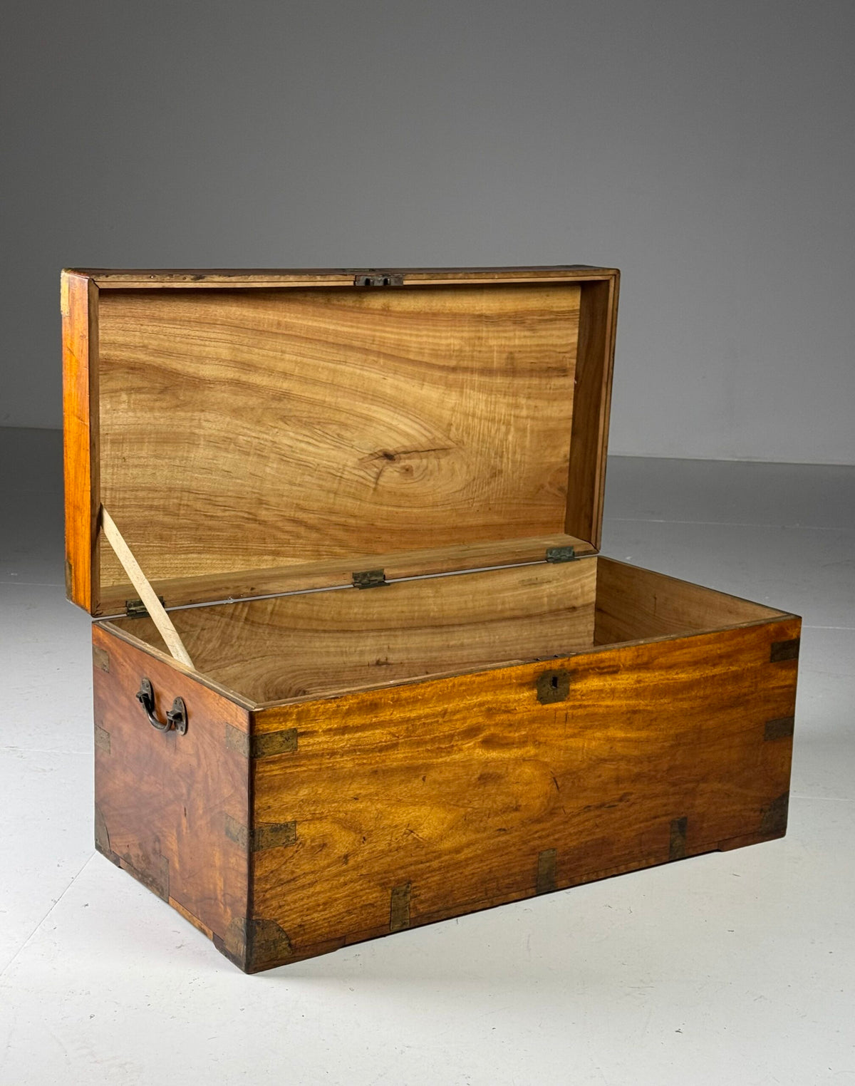 English Camphor Wood Campaign Chest, 19th Century, photo 17