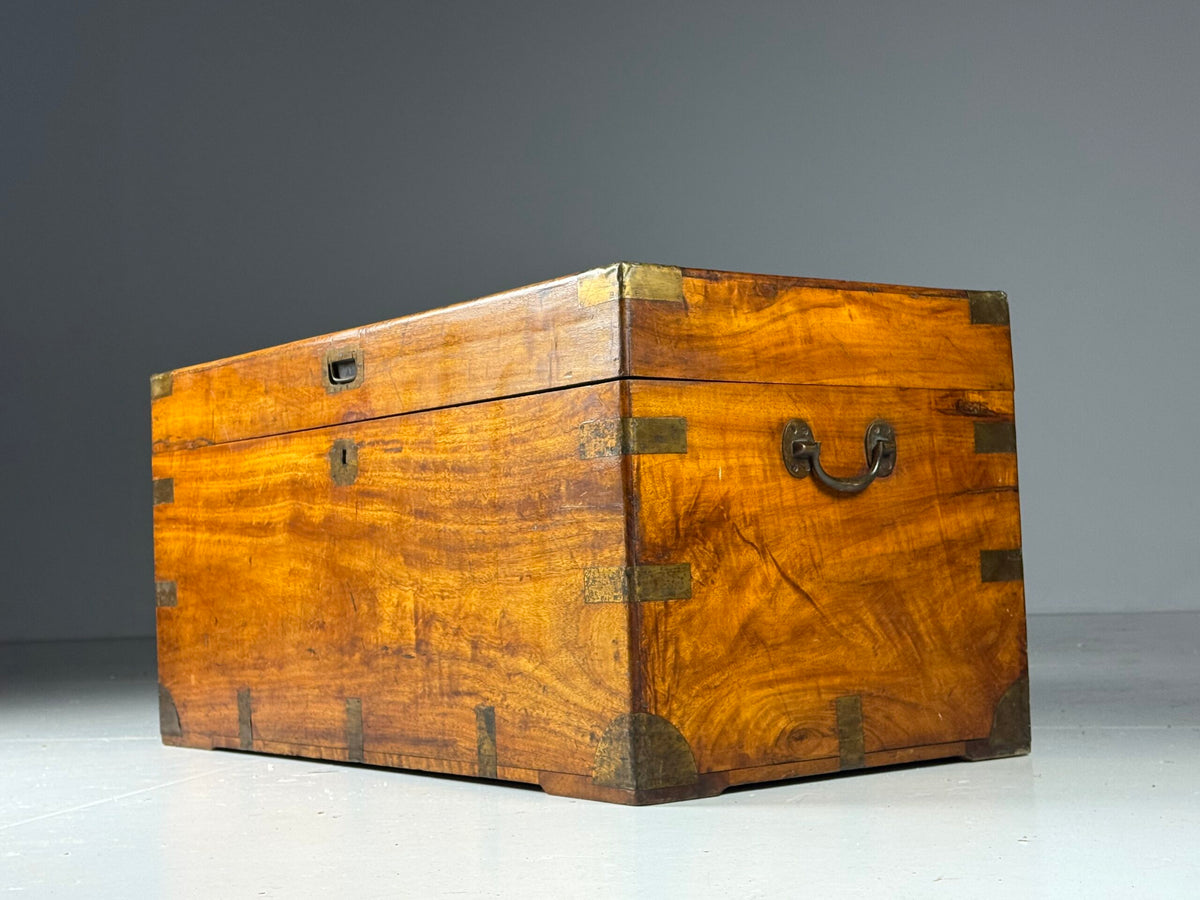 English Camphor Wood Campaign Chest, 19th Century, photo 7