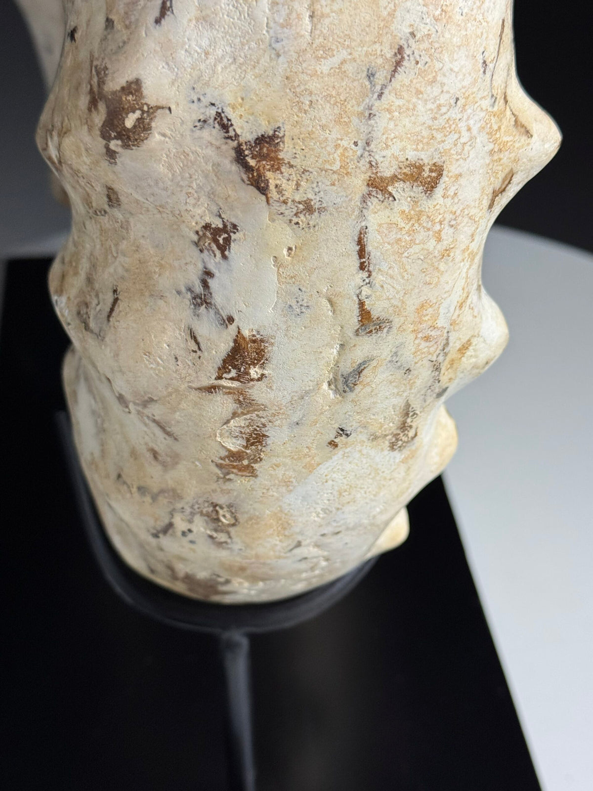 Large Fossil Ammonite on Custom Metal Stand, photo 4
